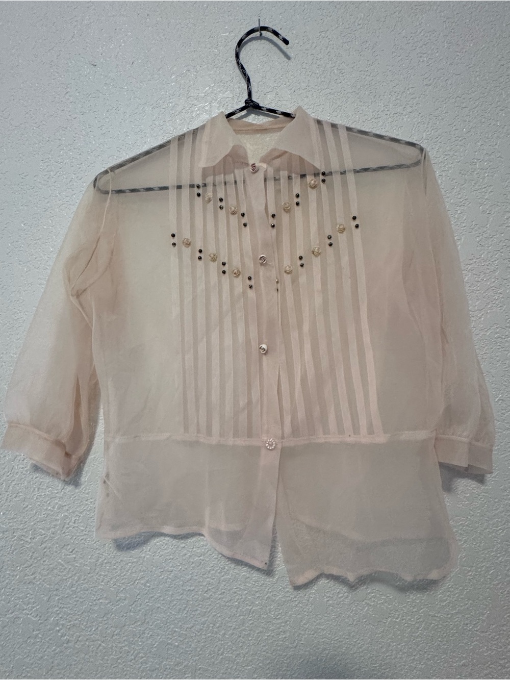 Sheer Button-Front Blouse in Light Peach